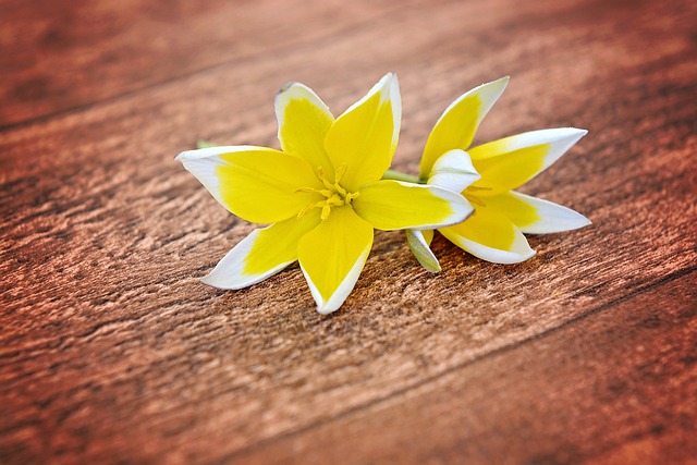 yellow